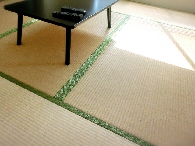 Chiếu cói Tatami