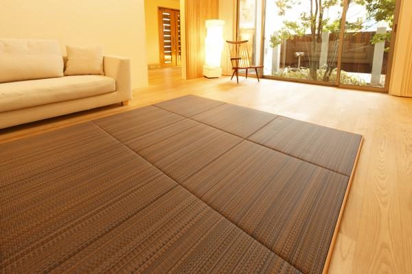 ứng dụng chiếu Tatami